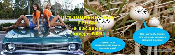 дживик Липки