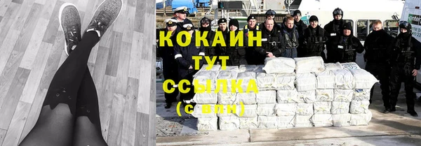 шишки Ладушкин