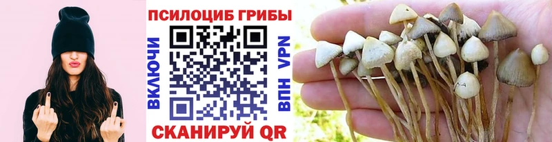 Галлюциногенные грибы ЛСД  Оханск 